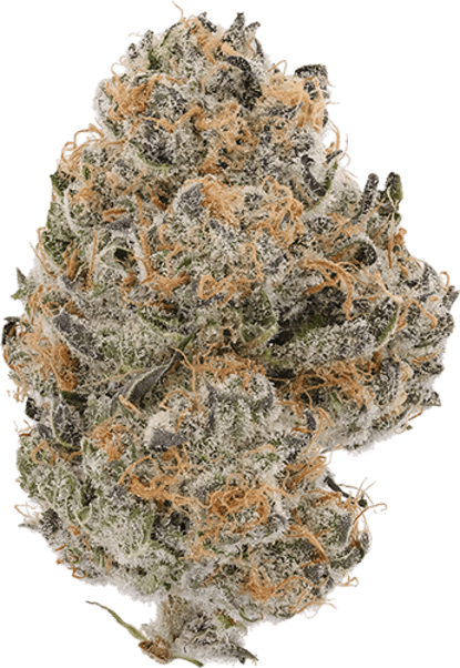 Pancake Stomper image 1