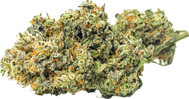 Sweet Apple Crumble Pie